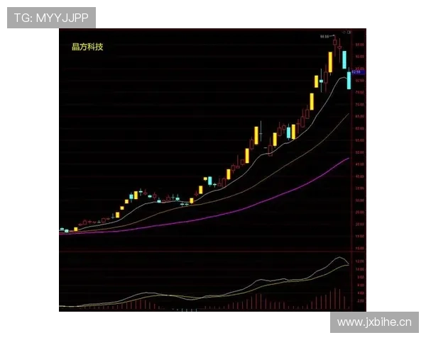 恩德里克对抗能力解析：如何适应成年级别比赛